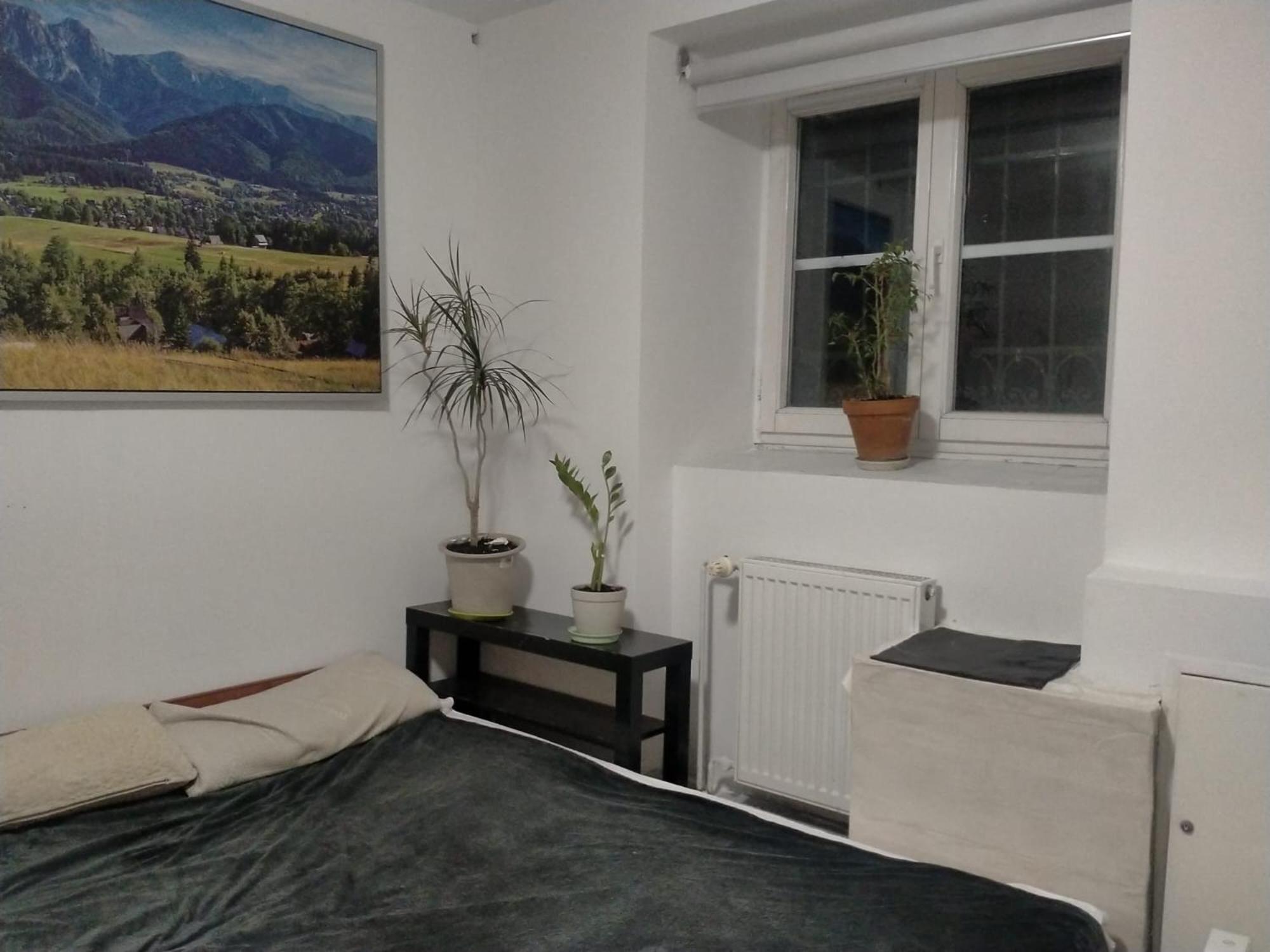 Lemon Tree Hostel Krakow Luaran gambar